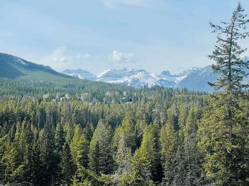 From Calgary: Banff, Moraine Lake and Lake Louise Tour - Guides Matter: Habib and Azeez Make the Difference