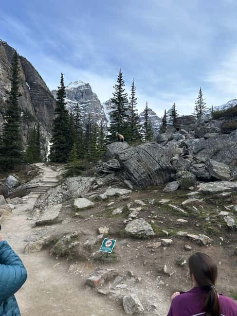 From Calgary/Banff: Moraine Lake & Lake Louise Half-Day Tour - Guide Impact: Insider Details, Photo Help, and Park Context