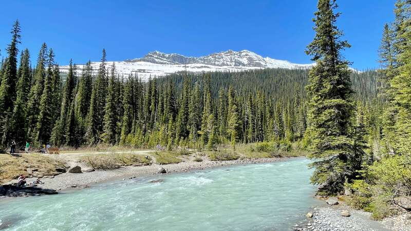 From Calgary: Banff & Yoho National Parks Private Day Tour - The Town of Banff: a scenic reset between big viewpoints