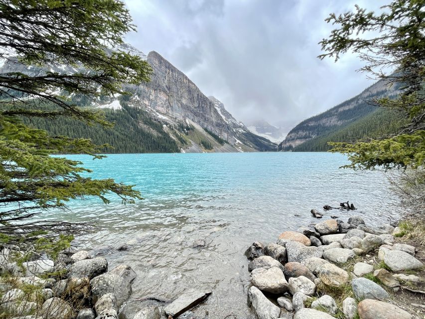 From Calgary: Banff & Yoho National Parks Private Day Tour - Wildlife spotting: use the guide and your eyes, not just your camera