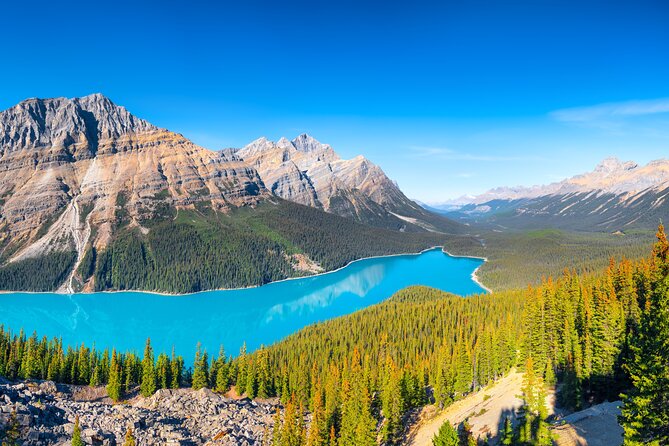Glacier Adventure on the Icefields Parkway Hidden Gems Skywalk - The guide makes the day: Ollie’s style of smooth stops and smart stops