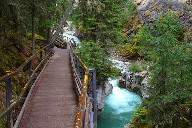 Hop-On and Hop-Off Banff Bus - Lake Louise Gondola Area and Lake Louise: Picking Your View Strategy
