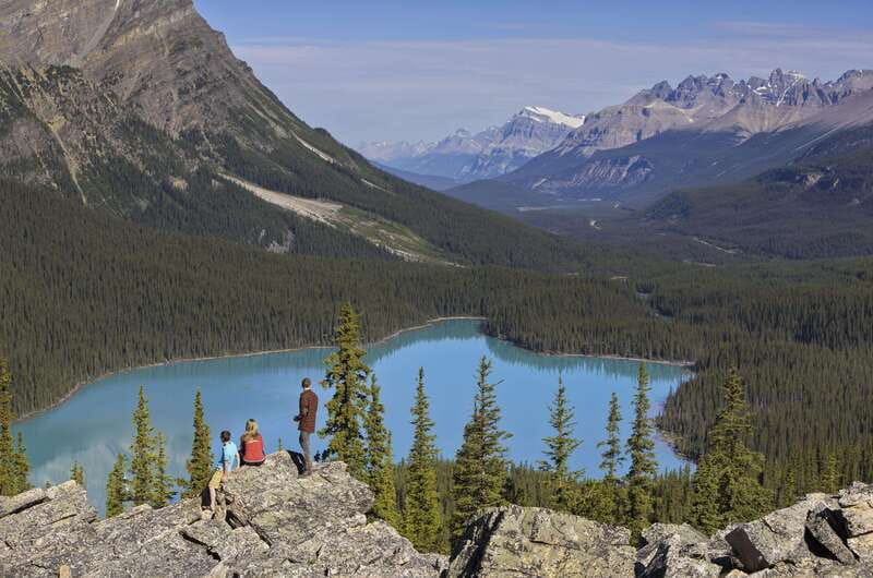 Icefield: Icefield Parkway, Bow Lakes & Peyto Lakes Day Tour - Key things to know before you go