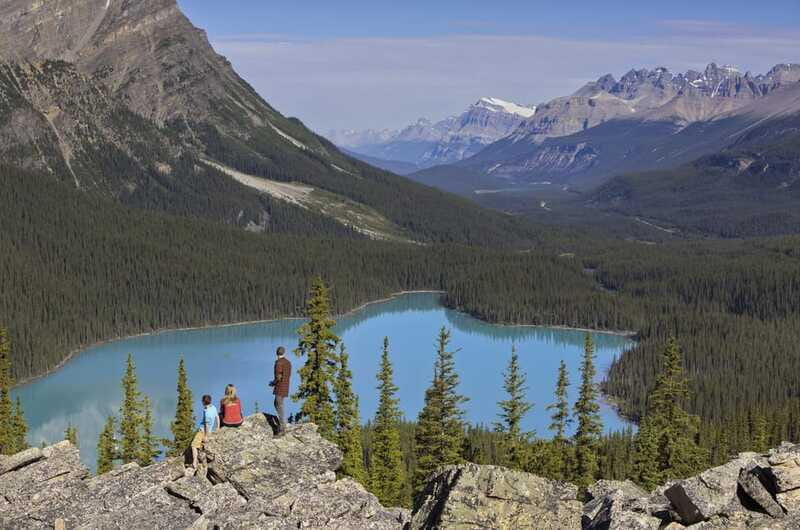 Icefield: Icefield Parkway, Bow Lakes & Peyto Lakes Day Tour - Price and value: what $114 buys you, and what you should budget