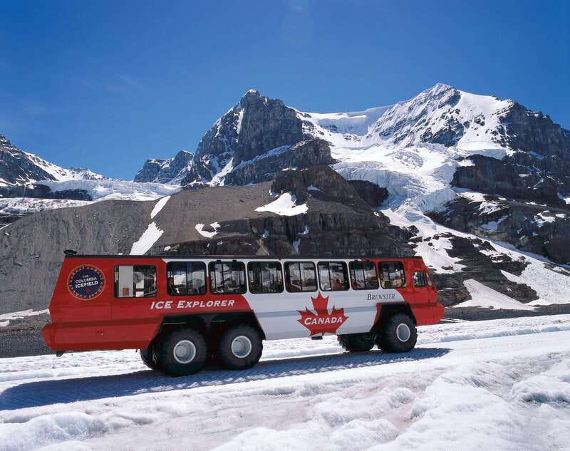 Icefield: Icefield Parkway, Bow Lakes & Peyto Lakes Day Tour - Peyto Lake (and Waterfowl Lake backup) for the classic turquoise hit