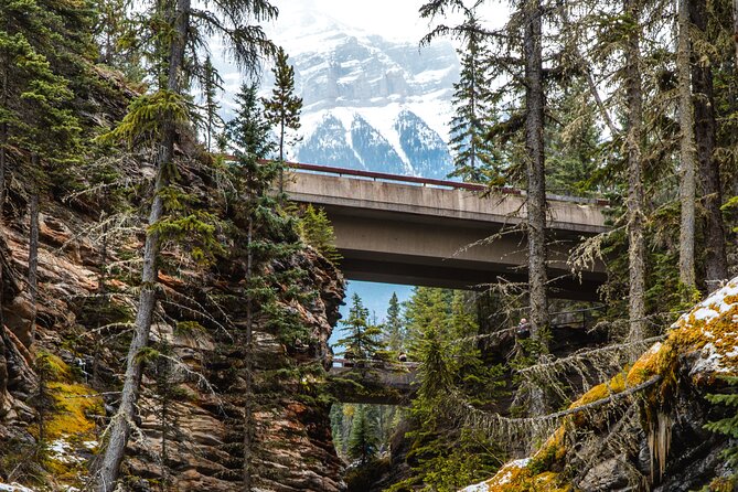Icefields Parkway: a Smartphone Audio Driving Tour - Pacing tips: how to stop without killing your day