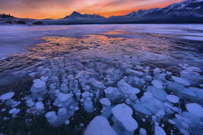 Icefields Parkway and Ice Bubbles of Abraham Lake Adventure - Bow Lake: quick, high-altitude views and glacier context