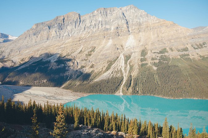 Icefields Parkway Experience - Stop 4: Athabasca Glacier viewpoint, plus what is not included