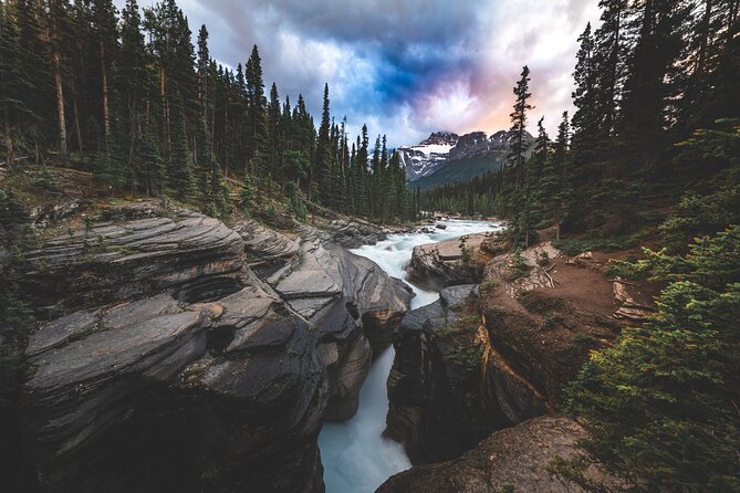 Icefields Parkway Highlights & Secrets | Award-Winning Adventure - Peyto Lake from Bow Summit: the turquoise payoff with minimal hassle