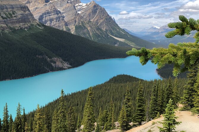 Icefields Pkwy: Lake Louise | Bow | Peyto|Glacier - PRIVATE TOUR - Moraine Lake depends on the season, so dates truly matter