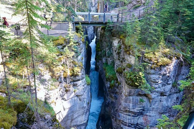 Jasper and Columbia Skywalk Icefield Parkway Private Day Tour - Peyto Lake, Bow Lake, and Crowfoot Glacier: Banff’s Turquoise Hit List