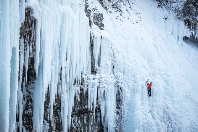 Johnston Canyon Frozen Waterfalls - Small Group Tour - Bow Valley Parkway Stops: Scenic Driving With Wildlife and Timing in Mind