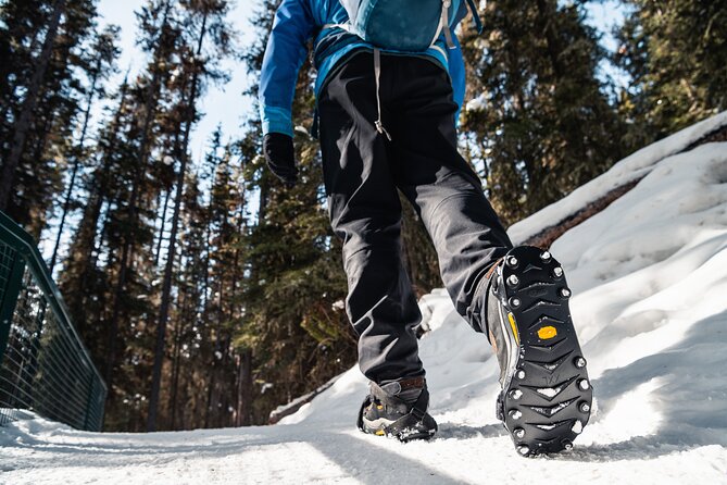 Johnston Canyon Icewalk - Getting to Johnston Canyon from Banff: the timed pickups that matter