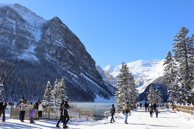 Johnston Canyon, Lake Louise & Banff: Small-Group Day Tour - Price and logistics: what $74.31 actually buys you