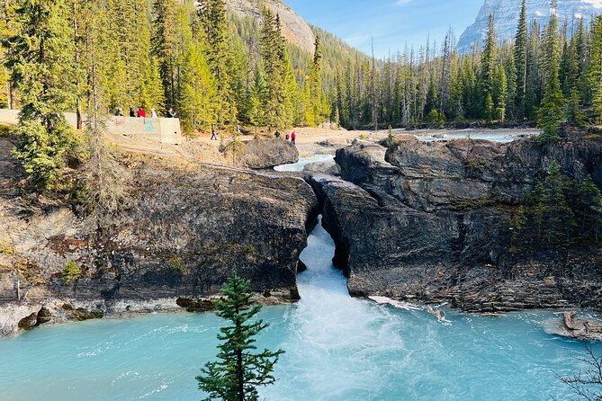 Lake Louise, Moraine/Bow, Emerald & Peyto - 4 Lakes in Banff - Yoho National Park and Kicking Horse Pass Spiral Tunnels