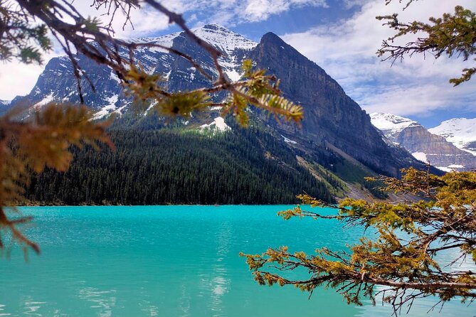 Lake Louise Moraine Lake Johnston Canyon 1.5h Half Day Tour - Photo-friendly planning: how your driver can make a big difference