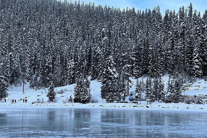 Lake Louise, Moraine Lake, Peyto Lake, Crowfoot, Johnston Canyon - How the guide-run day keeps you moving on the Icefields Parkway