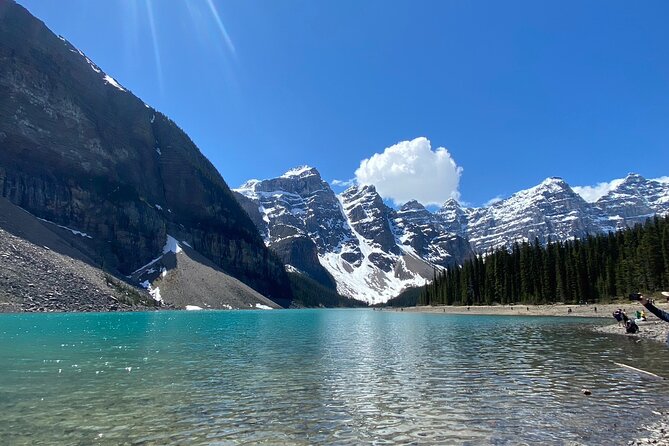 Lake Louise, Moraine Lake, Peyto Lake, Crowfoot, Johnston Canyon - Bow Lake and Crowfoot Glacier: quick stops that still feel worth it