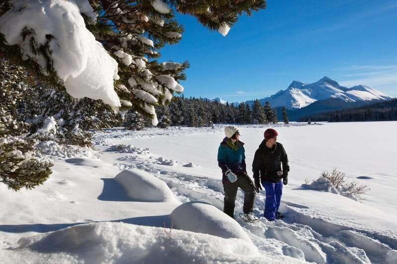 Lake Louise, Peyto Lake, Johnston Canyon & Icefields Parkway - Key reasons this day trip works well