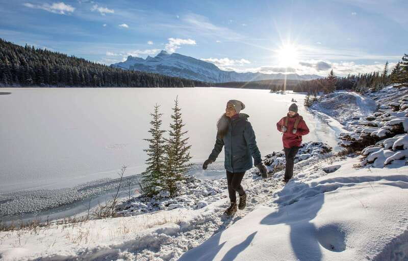 Lake Louise, Peyto Lake, Johnston Canyon & Icefields Parkway - How the day moves: logistics you’ll feel more than you think