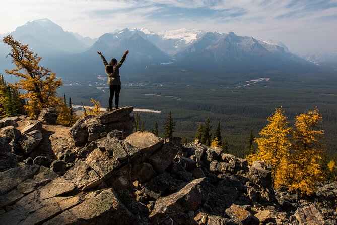 Lake Louise Summer Gondola Experience - Open Chair vs Enclosed Gondola: Your Best Shot at Wildlife