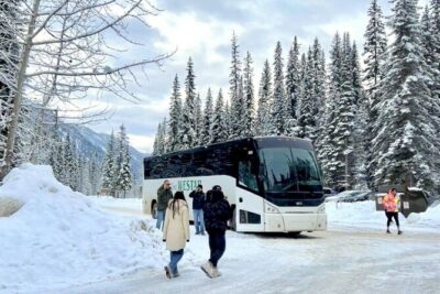 Lake Minnewanka, Peyto Lake, Bow Lake , Icefields - Banff National Park Stop: Falls, Canyon Walks, and Restroom Timing