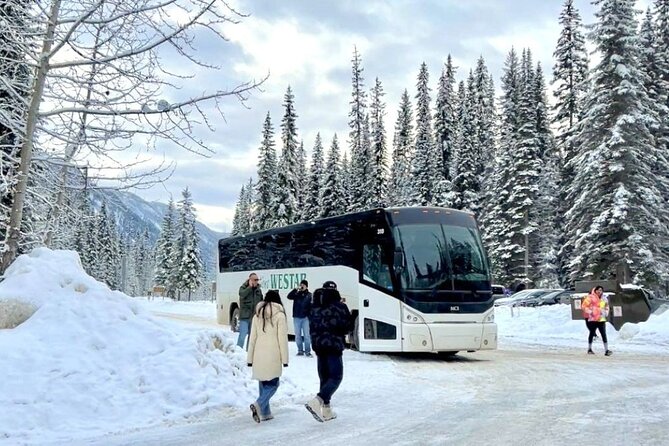 Lake Minnewanka, Peyto Lake, Bow Lake , Icefields - Banff National Park Stop: Falls, Canyon Walks, and Restroom Timing
