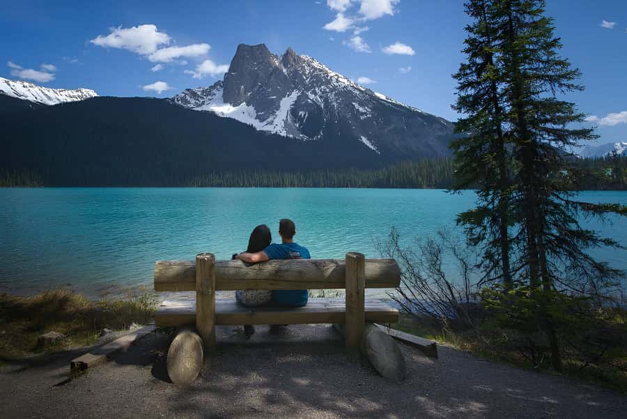 Louise, Moraine/Bow, Emerald, Peyto- 4 Lake Tour - What you get for $71: value that makes sense