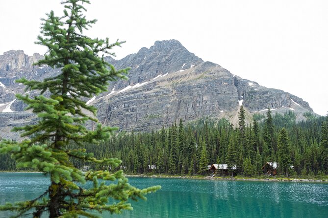Moraine Lake and Lake Louise Sightseeing Half Day Tour - Best fit: who should book this tour