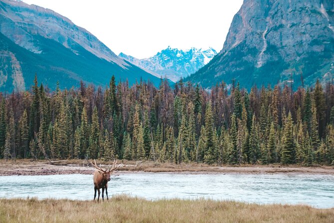 Moraine Lake, Lake Louise & Banff Secrets | Award-Winning Tour - Moraine Lake access: what restrictions change for your experience