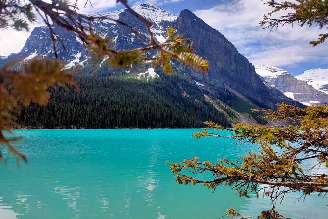 Moraine Lake Lake Louise Emerald Lake Banff Town & Natural Bridge - Why this Calgary-to-Rockies day trip feels like good value