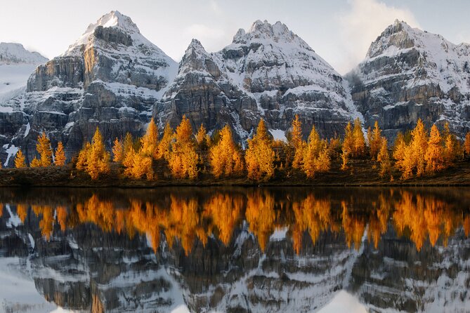 Moraine Lake & Lake Louise Sunset & Wildlife Adventure - Lake Louise at Sunset: What’s Included and What to Expect
