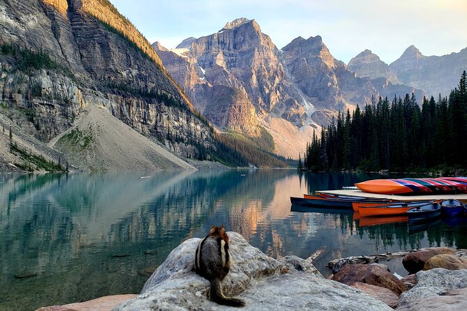 Moraine Lake & Louise - Morning or Sunset Tour from Banff/Canmore - Wildlife Corridor Driving: Seeing Animals Without Guesswork