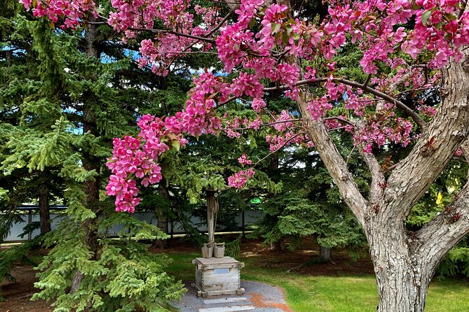 Nikka Yuko Admission (Adults & Children) - Season matters: what to expect when flowers aren’t the main event