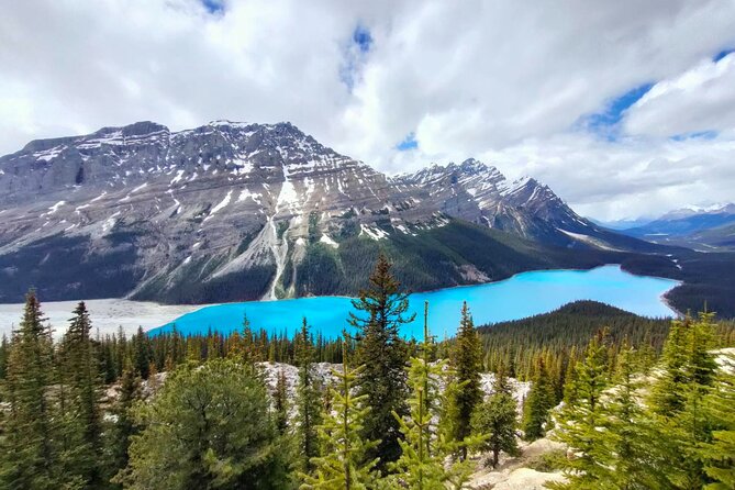 Peyto Lake, Bow Lake Lake Louise Moraine Lake Half Day Tour - Pickup and ride details: where time really gets saved
