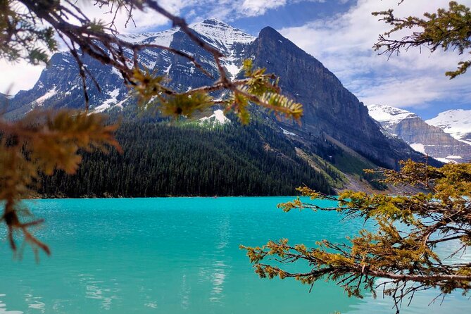 Peyto Lake, Bow Lake Lake Louise Moraine Lake Half Day Tour - The winter route when Moraine is closed: Peyto, Bow Lake, Crowfoot Glacier