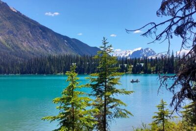 Peyto Lake, Bow Lake Lake Louise Moraine Lake Half Day Tour - The summer route (Jun 1 to Oct 13): Moraine Lake plus Lake Louise