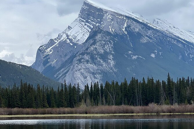 Peyto Lake, Bow Lake Lake Louise Moraine Lake Half Day Tour - Wildlife spotting: a realistic way to enjoy the scenery