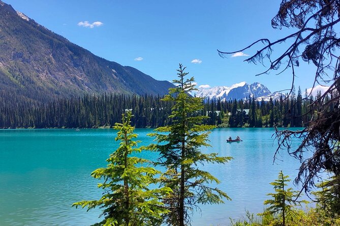 Peyto Lake, Bow Lake Lake Louise Moraine Lake Half Day Tour - The summer route (Jun 1 to Oct 13): Moraine Lake plus Lake Louise