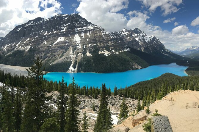 Private Tour Banff Yoho Jasper National Park for a Small Group - Jasper National Park: Maligne Lake, the Columbia Icefield area, and wildlife in big skies