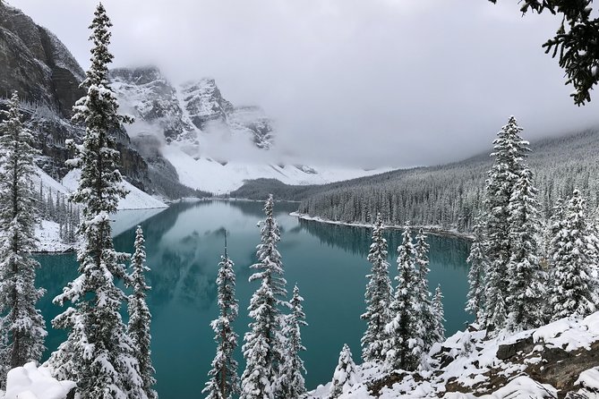 Private Tour of Lake Louise and the Icefield Parkway for up to 12 guests - Lake Louise at the Chateau: Iconic Views With Actual Time to Enjoy