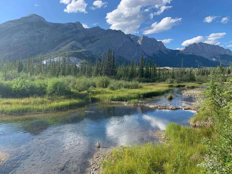 PRIVATE Wilderness and Wildlife Walking Tour - 3hrs - Quick hits before you go