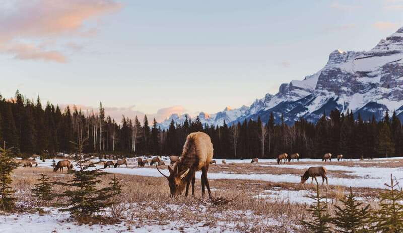 PRIVATE Wilderness and Wildlife Walking Tour - 3hrs - The 150-minute flow: what you actually do on the trail