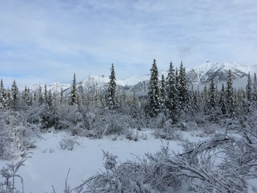 PRIVATE Wilderness and Wildlife Walking Tour - 3hrs - Jacob’s guide style: wildlife, history, and plenty of easy conversation