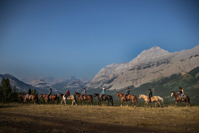 Ridge Ride 2-Hour Horseback Trail Ride in Kananaskis - Wildlife and weather: how to handle deer sightings and rain