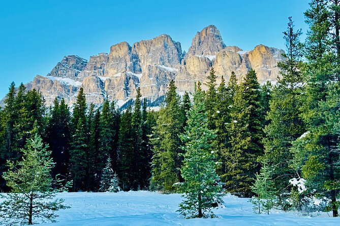 ShuttleBus 2way Banff to Lake Louise (1Hr) and Moraine Lake (1Hr) - Wildlife spotting without the guesswork: listen and look