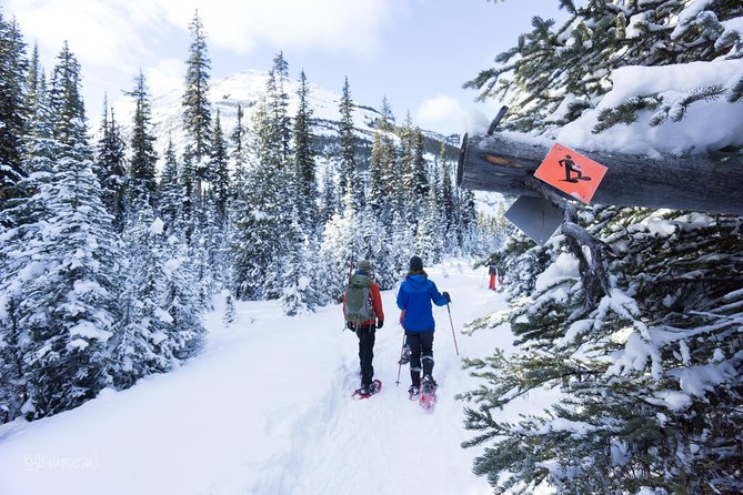 Snowshoeing in Kananaskis - Snowshoeing Across Kananaskis: Why This 2-Hour Walk Works