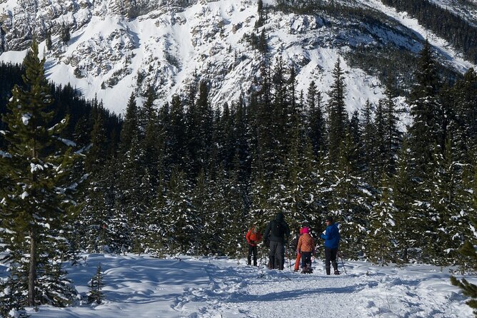 Snowshoeing in Kananaskis - What the Guide Adds: From Route Help to First-Timer Confidence