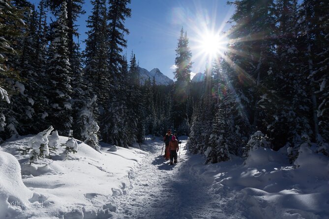 Snowshoeing in Kananaskis - Dressing for Kananaskis Cold: Boots, Layers, and the Stuff That Actually Works
