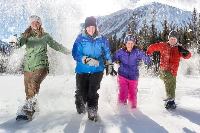 Snowshoeing Tour to the Paint Pots - Paint Pots in winter: why this snowshoe route feels worth it